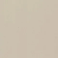 Veludo Taupe (Foto)