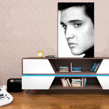 Quadro Elvis Presley