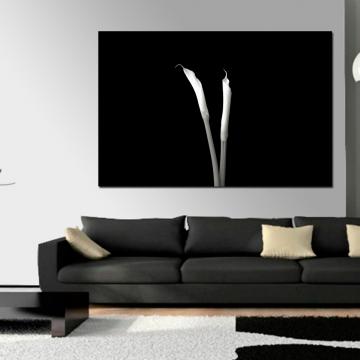 Quadro Flor B&W