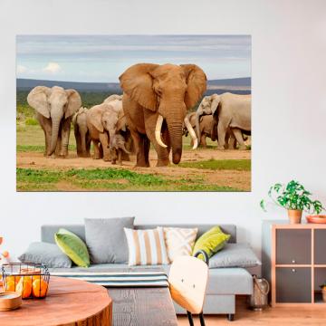 Quadro Manada Elefantes