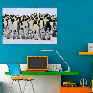 Quadro Pinguins 