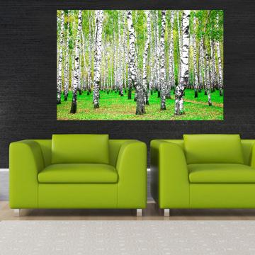 Quadro Troncos Altos
