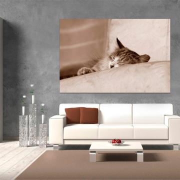 Pintura de gato a dormir
