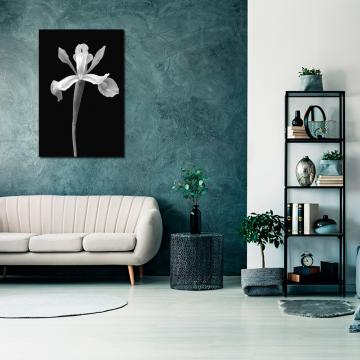 Pintura de flores em preto e branco