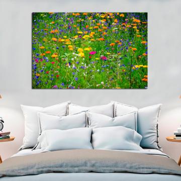 Pintura de flores silvestres