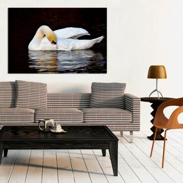 Pintura de cisne no lago
