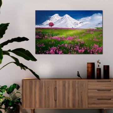 Paisagem com flores e montanhas