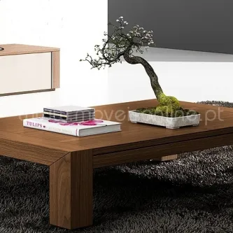 Mesa de centro Versatile em madeira com bonsai e revistas sobre tapete cinzento