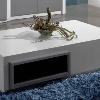 Mesa de centro Plaza branca com nicho cinzento e taça com plantas.