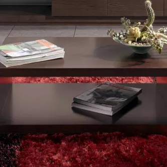 Mesa de centro Omega em madeira escura com prateleira inferior, revistas e vaso decorativo