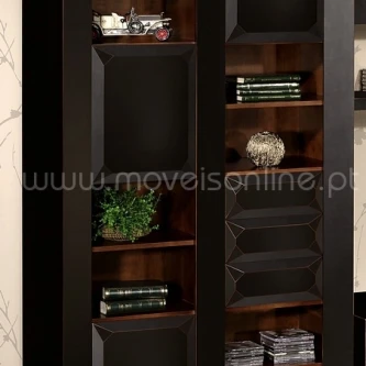 Vitrine l1d com prateleiras em madeira escura, livros, planta e objectos decorativos.