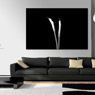 Quadro em preto e branco com dois copos-de-leite sobre fundo negro