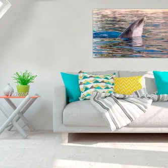 Quadro com golfinho a emergir na água, pendurado acima de sofá com almofadas coloridas