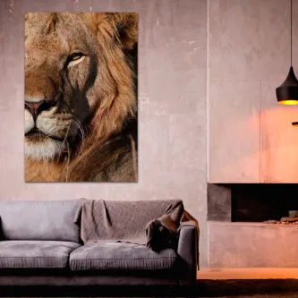 Quadro com rosto de leão pendurado sobre sofá numa sala moderna