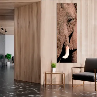 Quadro vertical com grande plano do rosto e presa de elefante