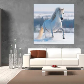 Quadro com cavalo branco a galopar na neve