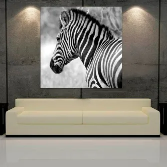 Quadro preto e branco com retrato lateral de zebra pendurado acima do sofá