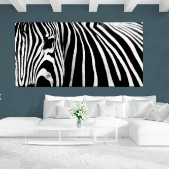 Quadro horizontal com riscas de zebra e detalhe do rosto