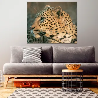 Quadro com rosto de leopardo pendurado sobre sofá cinzento