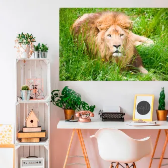 Quadro com leão deitado na relva pendurado acima de secretária decorada