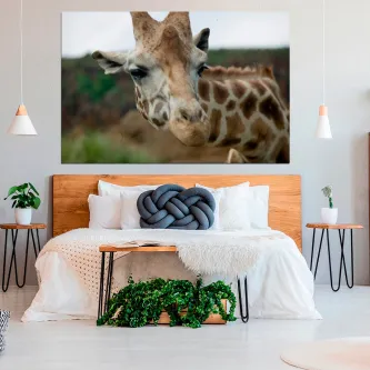 Quadro rosto de girafa pendurado acima de cama com decoração moderna