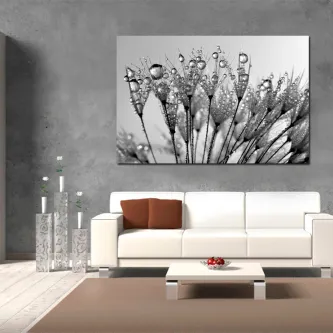 Quadro Flor de Chuva macro de sementes com gotas de água em preto e branco