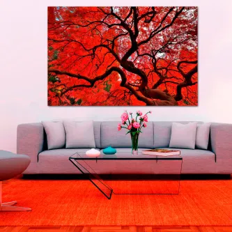 Quadro Árbol rojo com árvore de folhas vermelhas e ramos negros