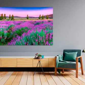 Quadro 'Campo a roxo' com campo de lavanda roxa pendurado numa sala minimalista