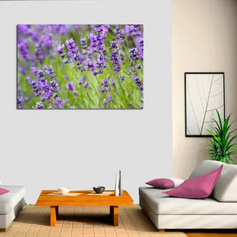 Quadro Campo de Lírios com flores roxas pendurado numa sala moderna