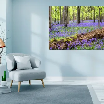 Quadro relvado lilás com floresta, carpetes de flores lilases e tronco caído
