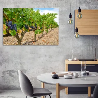 Quadro vinha com fileiras de videiras e cachos de uvas sob céu azul