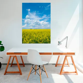 Quadro Simplicidade Campestre com campo de flores amarelas sob céu azul e nuvens