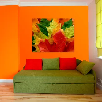 Quadro Hojas com folhas outonais coloridas em vermelho, verde e amarelo
