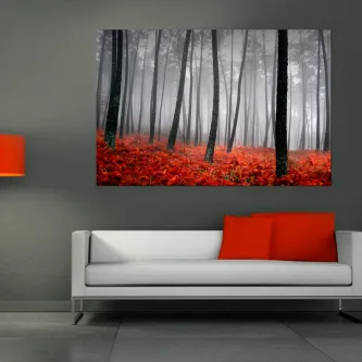 Quadro de bosque enevoado com chão coberto de folhas vermelhas