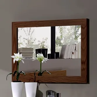 Espelho Israel em moldura de madeira, plantas em vasos brancos e livros refletidos