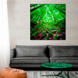 Pintura de paisagem verde mostrando floresta vista de baixo, raízes e copas iluminadas
