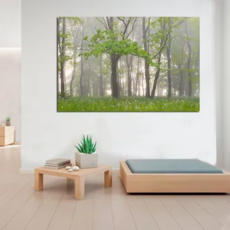 Paisagem de floresta enevoada com árvores altas e relva verde