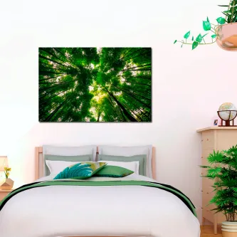 Copas de árvores verdes vistas de baixo com luz solar a filtrar entre ramos