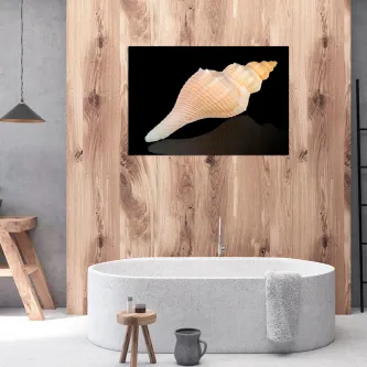 Pintura de concha sobre fundo preto, quadro pendurado em parede de madeira acima de banheira