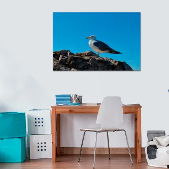 Gaivota pousada numa rocha com céu azul claro