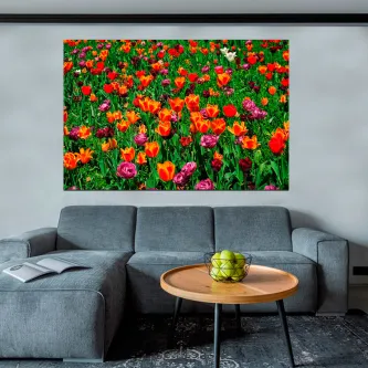 Pintura de campo de tulipas coloridas pendurada sobre sofá cinzento
