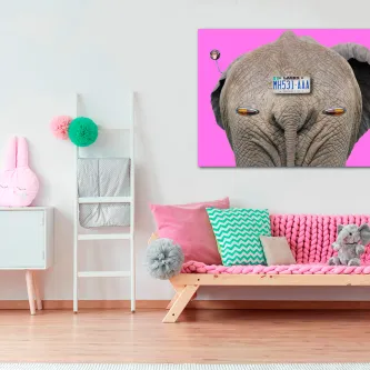 Elefante com matrícula visto de costas numa tela com fundo rosa