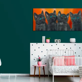 Quadro com quatro gatinhos cinzentos de olhos azuis sobre fundo laranja