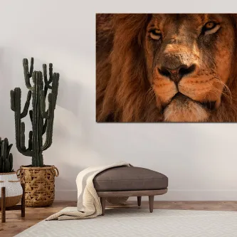 Pintura leonina em close pendurada acima de um banco junto a um cacto