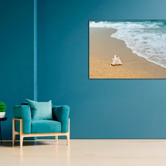 Concha na areia junto à beira do mar com espuma de onda