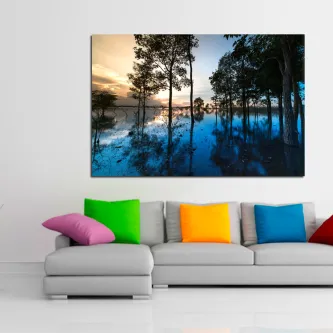 Pôr do sol refletido em água entre árvores, quadro sobre sofá com almofadas coloridas