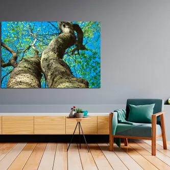 Pintura de árvore com vista ascendente de tronco e copa