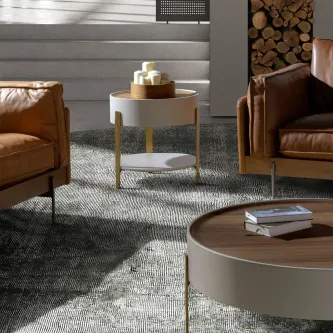 Mesa de Apoio Mónica