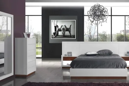 Quarto de Casal Modena