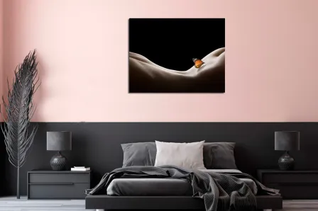 Quadro Curva Feminina